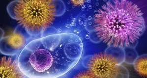 Иммунные клетки помогают бактериям пережить тяжёлые времена