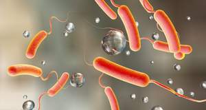 Особенности кишечного микробиома защищают от холеры