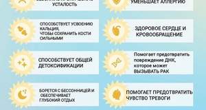 Подпитка из космоса. В чём польза витамина D