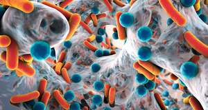 Опасные бактерии, как оказалось, можно победить без антибиотиков