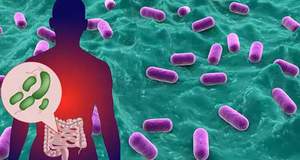 Кишечные бактерии обвинили в распространении устойчивости к антибиотикам