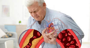 Болезни сердца можно контролировать, влияя на уровни определенных белков в кишечнике