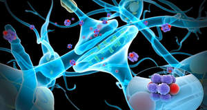 В кишечнике нашли бактерии, питающиеся нейромедиаторами