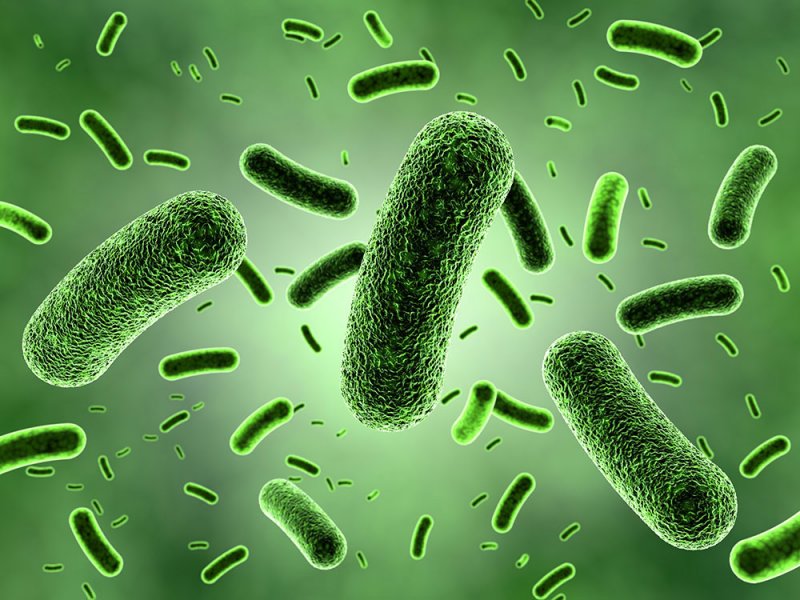 Найден способ преодоления устойчивости бактерий к антибиотикам