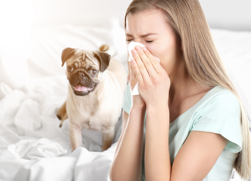 Грудное вскармливание снижает вероятность аллергии на животных