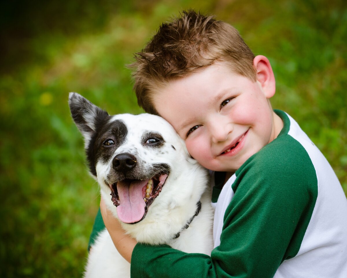 Найдено объяснение противоаллергическому влиянию собак на детей