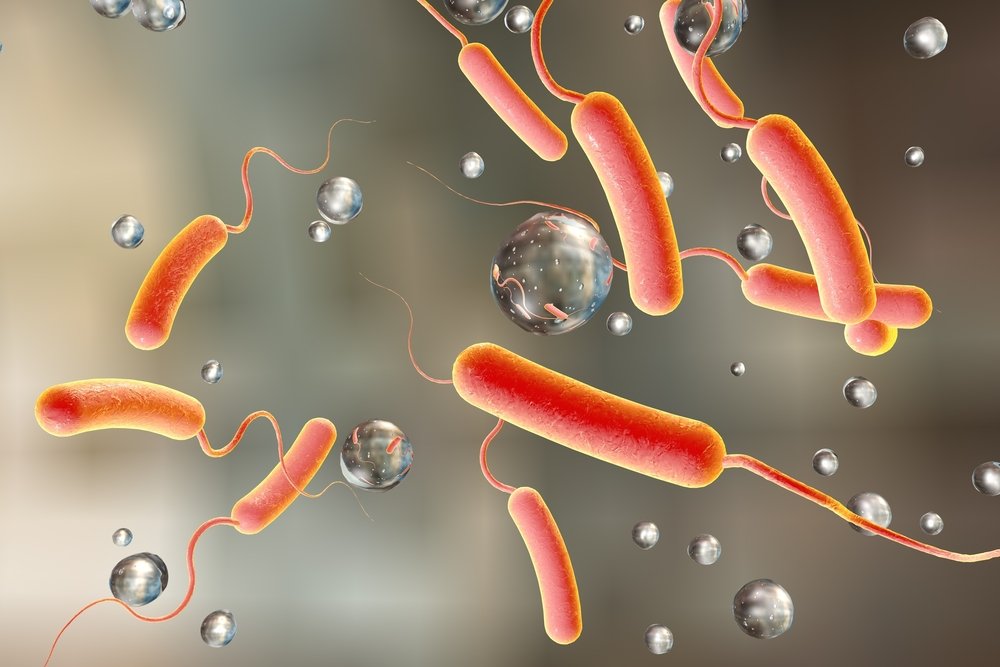 Особенности кишечного микробиома защищают от холеры