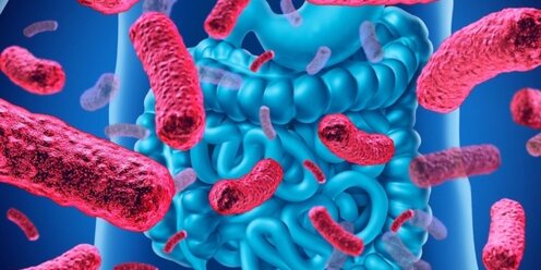 Бактерии кишечника могут ускорять БАС