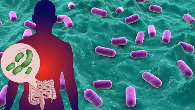 Кишечные бактерии помогут предсказать проблемы со здоровьем