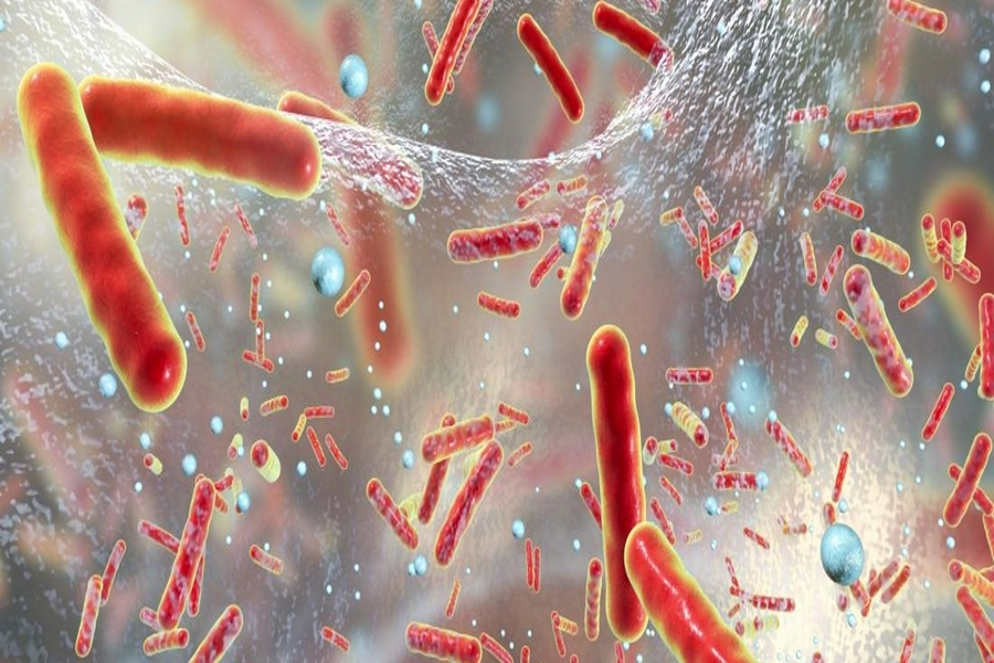 Исследователи обнаружили супербактерию: устойчива к антибиотикам и смертоносна