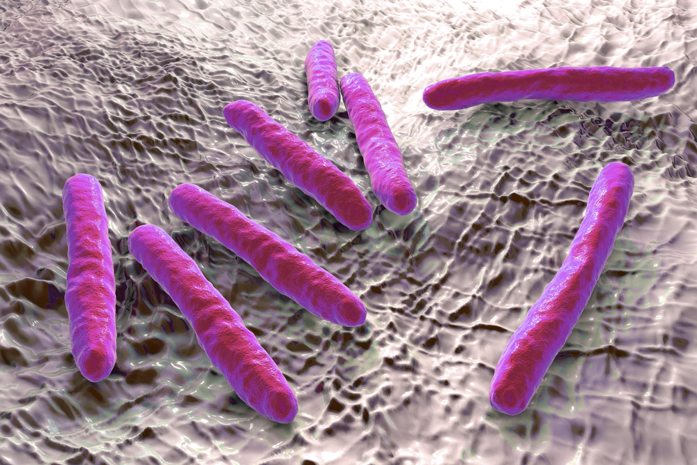 У бактерий открыт помогающий им выживать «режим зомби»
