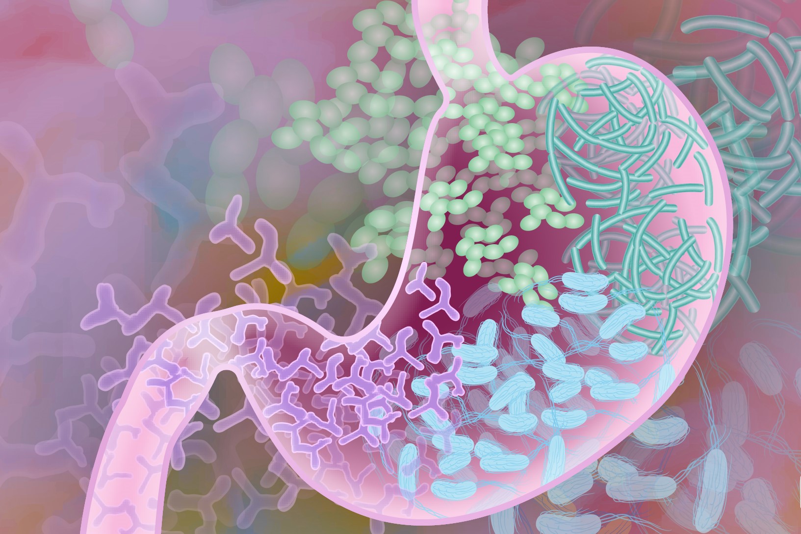 Возможности препаратов на основе микробных метаболитов для восстановления кишечной микробиоты