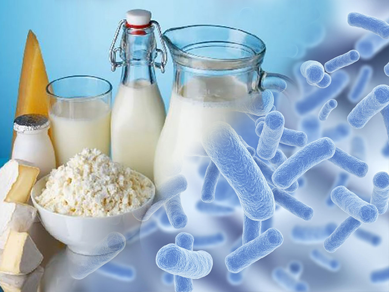Сравнительная оценка влияния различных кисломолочных продуктов на кишечную микрофлору детей раннего возраста