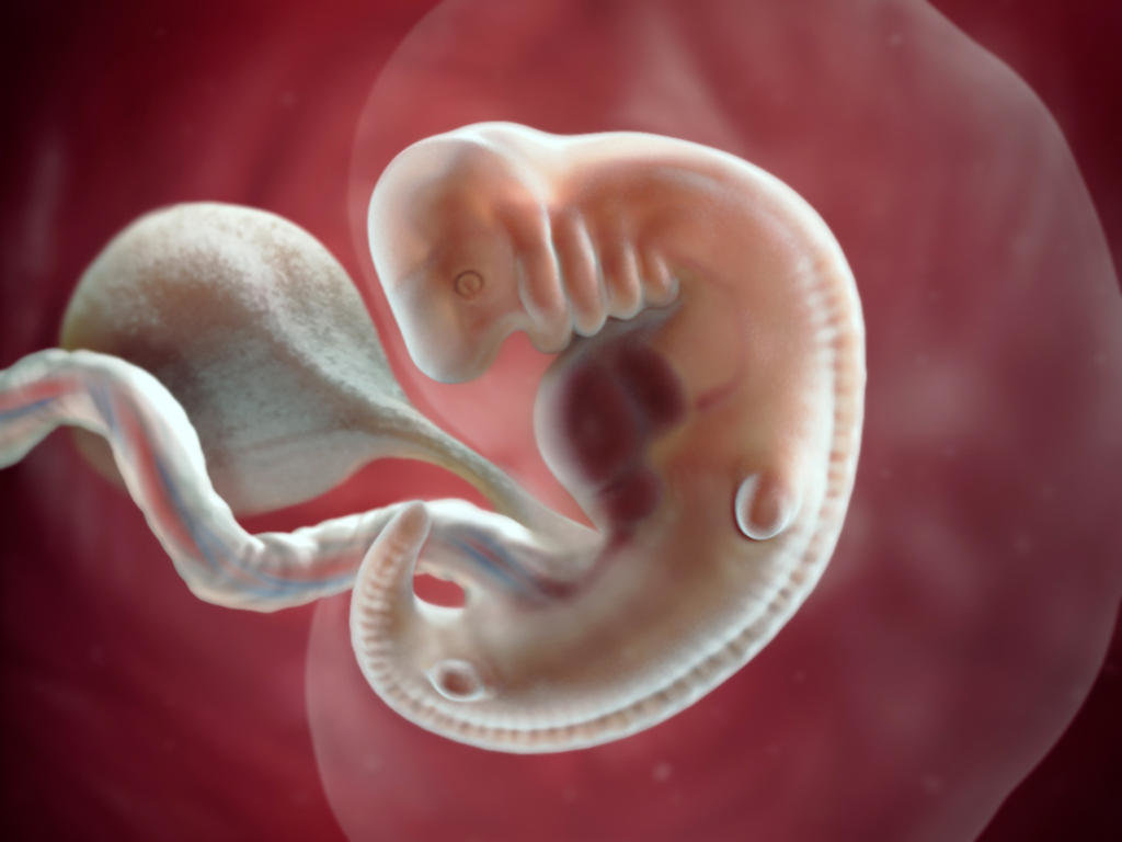 Диагноз эмбриона